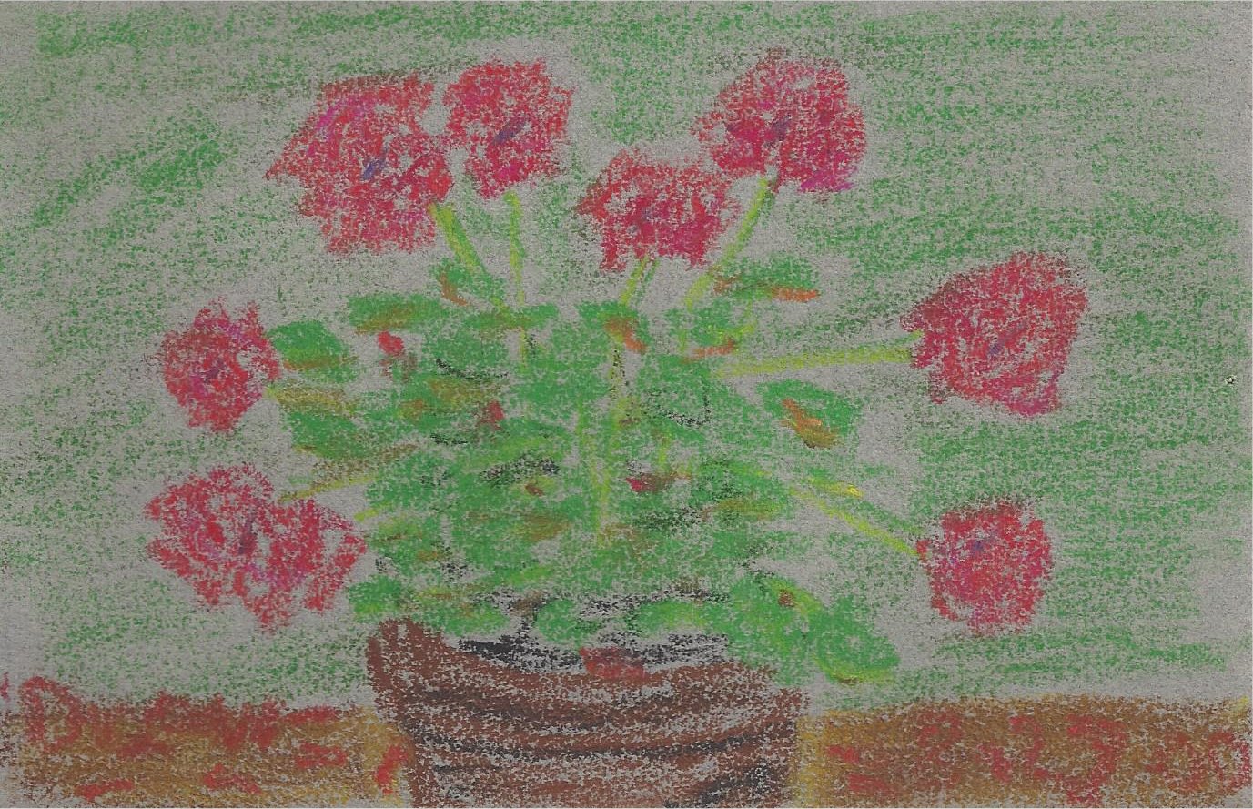 pot of flowers 2
