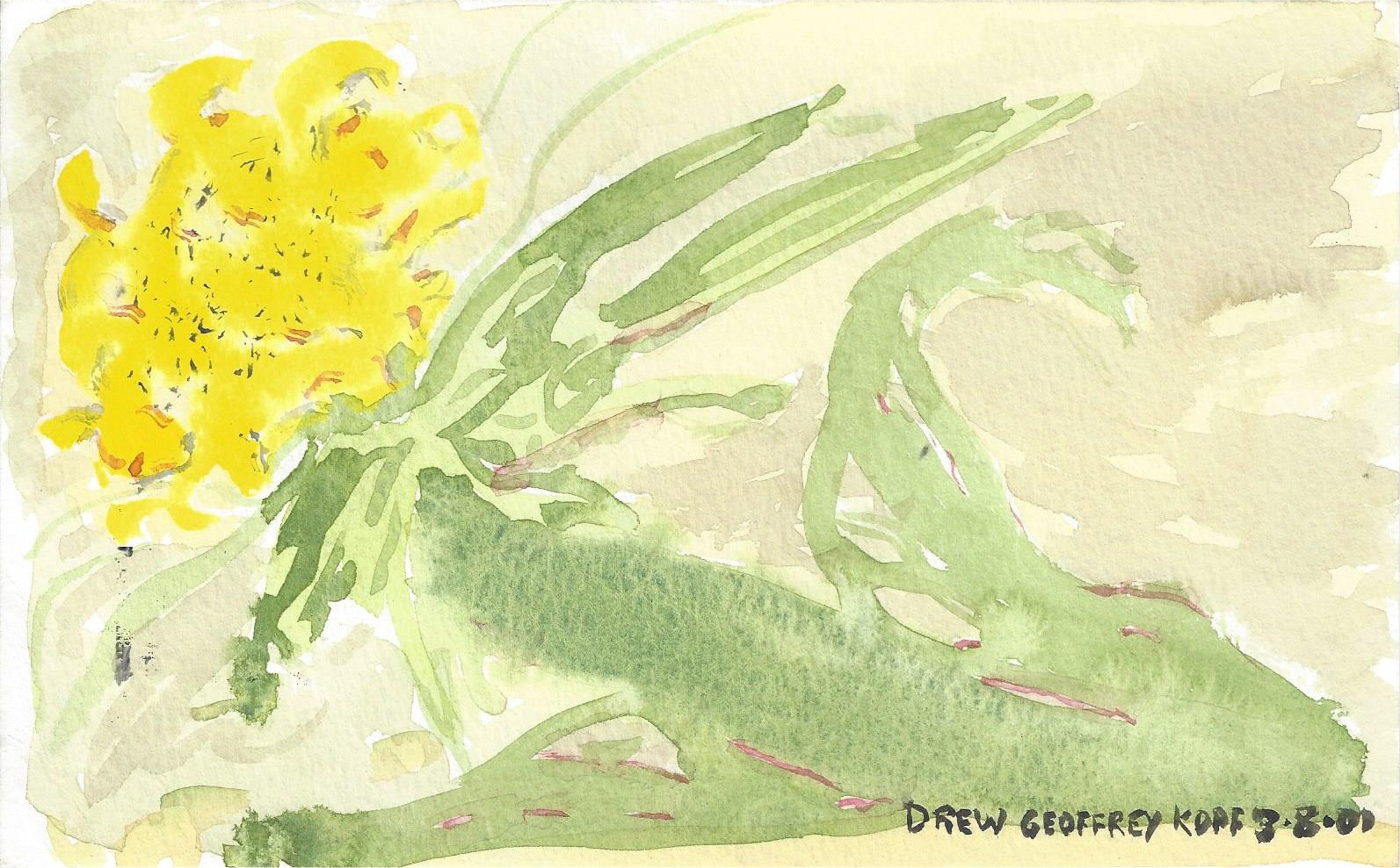 yellow flower